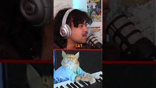 The Cat Piano meme 😧 podcast scary cat pets piano memes viralvideo viralshorts [upl. by Mala]