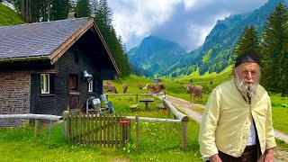 Life in a Swiss Alpine Village  We released thousands of cows in the mountains and green meadows [upl. by Adnahsar370]