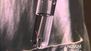 Reaction of Magnesium and Water [upl. by Ecinev]