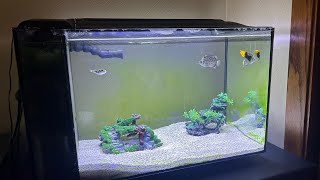 The Fluval Evo 135 Lives [upl. by Fernande]