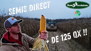 Réussir ses Maïs en Semis Direct avec SemPrecision [upl. by Frans]