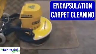 Encapsulation Carpet Cleaning [upl. by Aehtrod591]