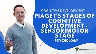 Piagets Stages of Cognitive Development – Sensorimotor Stage [upl. by Llerrad]