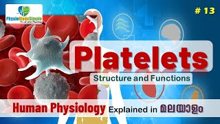 Ep13  Platelets  Malayalam [upl. by Iorgos]