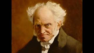 Học thuyết triết học của Schopenhauer [upl. by Isteb]