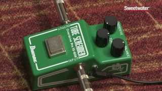 Sweetwaters Ibanez TS808 35th Anniversary Overdrive Pedal Review [upl. by Cammi17]