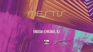 MESTIS  Eikasia Chicago IL LIVE [upl. by Eremihc]