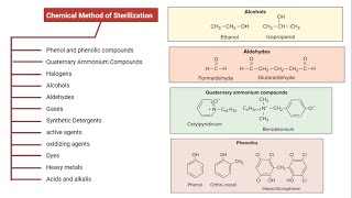 Chemical Method of Sterilization Types Mode of Action Application Examples [upl. by Rj635]