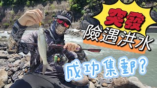 香港釣魚 路亞 突發遇險我能成功集郵？ 淡水魚 香港釣魚 路亞 lure fishing 放生 休閒 topwater 香港水塘 水塘 hkfishing fishin [upl. by Lateehs652]