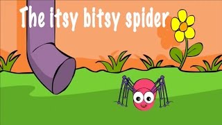 Itsy Bitsy Spider Lyric Video  Sing Along [upl. by Evers297]