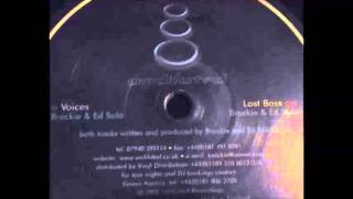 Brockie amp Ed Solo  Lost Bass [upl. by Ahsilek]