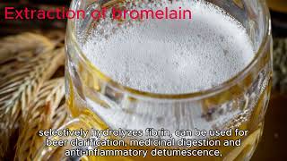 Extraction of bromelain [upl. by Hausmann]