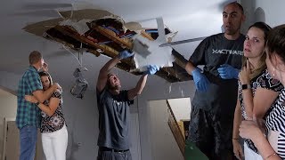 HOUSE FLOODED  CLOGGED TOILET FLOODS UPSTAIRS  TWO LEVELS RUINED  CEILING AND FLOORS RIPPED OUT [upl. by Nauaj366]