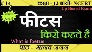 फीटस क्या होता है। Foetus kya hai। upboard class12 ncert SudheerSirJi [upl. by Ettesoj156]