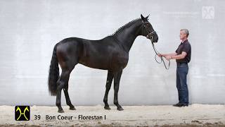 Hanoverian Stallion Licensing 2018 No 39 Stallion by Bon Coeur  Florestan I [upl. by Repooc]