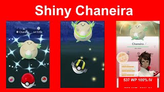 Shiny Chaneira aus Forschungsdurchbruch  Pokemon GO Deutsch 206 [upl. by Anastasius]