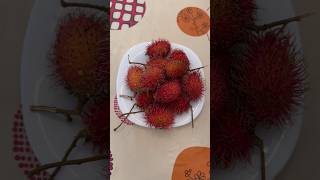 rambutan ahaanakrishna malayalam mallu flowers food love ahaanakrishna rambuttan seasonal [upl. by Dopp266]