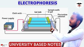 Electrophoresis  Types of Electrophoresis  Electrophoresis Applications [upl. by Rowell]