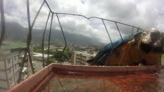 Guacamayos amarillos y azules 🦜🦜 en el bebedero Aves en mi balcón [upl. by Latona180]