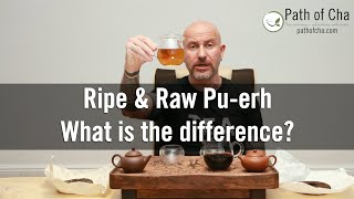 Ripe vs Raw Puerh Tea The Differences Between Sheng and Shou Puer [upl. by Rehpitsirhc]