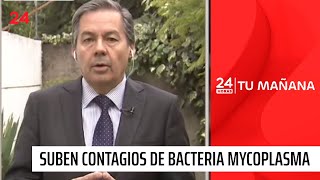 Suben contagios con bacteria mycoplasma qué es síntomas y cómo puede generar neumonía  24 Horas [upl. by Aivan35]