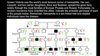 Haemophilia in royal families of Europe [upl. by Larimor794]