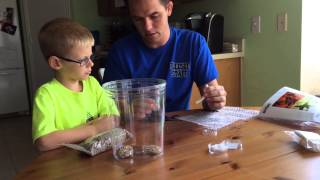 Setting Up Our Milkweed Bug Habitat Terrarium [upl. by Nema329]