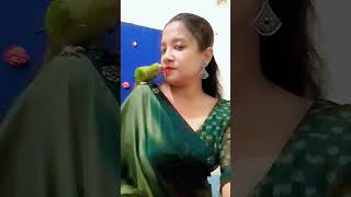 আমার শখের পাখি bdbird comedyfilms houseofbirdsbd [upl. by Nipsirc278]