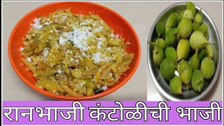 रानभाजी कंटोळीची भाजी  Ran bhaji Kantoli Bhaji  Marathi Recipe [upl. by Ameerahs]