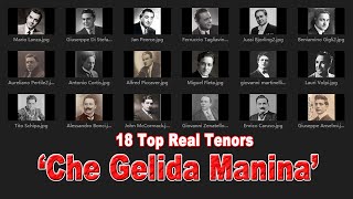 18 Top Real Tenors ‘Che Gelida Manina’ [upl. by Annoik797]