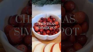 Christmas simmer pot 🎄🎅 simmerpot potpourri christmas christmas2024 asmr asmrvideo [upl. by Fleta647]