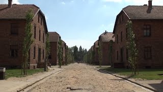 Auschwitz  Episode 1 Stamlager [upl. by Gaddi]