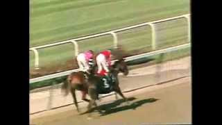 Affirmed  1978 Belmont Stakes CBS footage [upl. by Onairda]