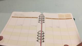 Secret Garden Do It All 18 month Planner by Orange Circle Studio Flip through amp Review [upl. by Lavelle]