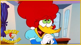 Woody Woodpecker Show  Aunt Pecky  1 Hour Compilation  Cartoons For Children [upl. by Peterus]