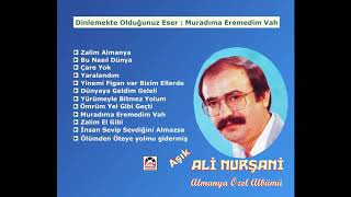 Muradıma Eremedim Vah  Aşık Ali Nurşani [upl. by Ayit83]