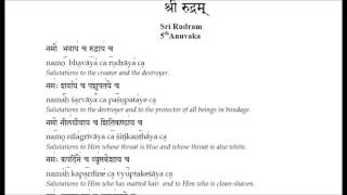 SRI RUDRAM 5th Anuvaka  STRICTLY NOT FOR LEARNINGWHATSAPP NUMBER IN DESCRIPTIONS TO LEARN [upl. by Sikleb]