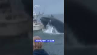 Breaching Whale Capsizes Fishing Boat  10 News First [upl. by Nosraep]