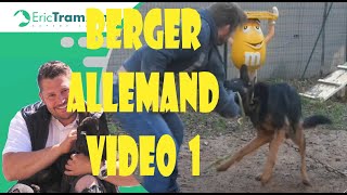 BERGER ALLEMAND VIDEO 1 [upl. by Oicelem]