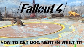 Fallout 4How To Get Dog Meat In Vault 111 [upl. by Eenoj]