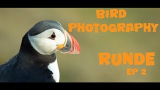 Bird photography from the mountain top at Runde Norway [upl. by Telfore]