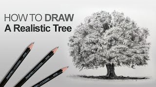 How to Draw a Tree Realistic [upl. by Okin316]