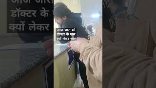 Rabies injection lagvane laye hospital me viralvideo cat catlover catvideos [upl. by Warring]