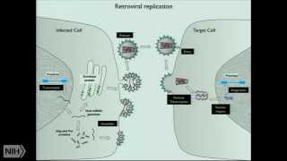 Intrinsic host defenses against HIV1 [upl. by Vonny227]