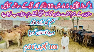 100 Bachro Ka Farm Afzal Cattle Farm  How to start Bachra Farming in Okara Punjab [upl. by Eikcir]