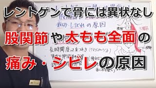 レントゲンで骨に異常なし、股関節や太もも前面の痛み・しびれの原因 大阪の整体『西住之江整体院』 [upl. by Natalee297]