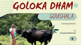 Training review of Goloka Dham goushala 👍 [upl. by Hannej]