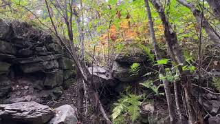 Exploring The Remnants of the Robertson Homestead [upl. by Reinhold]