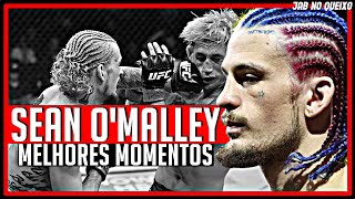 Sean OMalley TODAS As Vitórias No UFC [upl. by Eisoj]