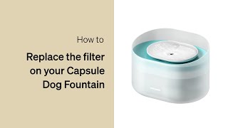 How to Replace Your Filters  Petlibro Capsule Dog Fountain [upl. by Egidius563]